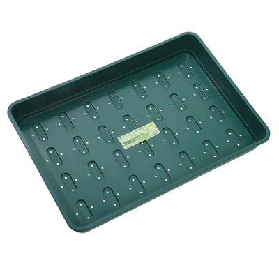XL Green Seed Tray Each