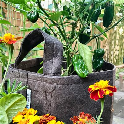 Root Pouch, Grey Fabric Pot - Image 2
