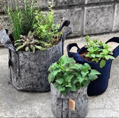 Root Pouch, Grey Fabric Pot - Image 3