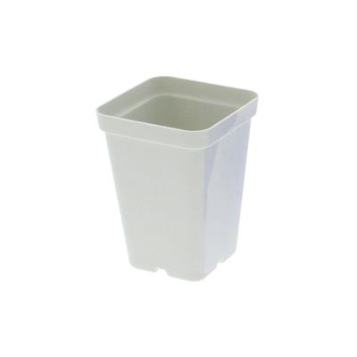 Color Square Injection Molded Pot, 2.5" | 10 Pack - Image 3