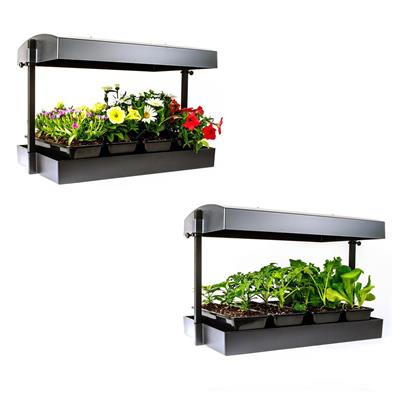 SunBlaster LED Grow Light Garden - Image 3