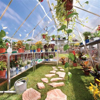 Essence 8 x 12 Greenhouse - Image 3