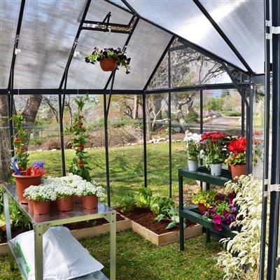 Palram Garden Chalet Greenhouse | Cathedral Roof Kit - Image 3