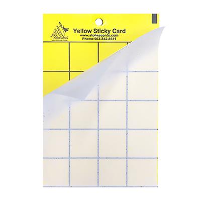 Yellow Jacket Wasp Trap and Lure | 5/Pack