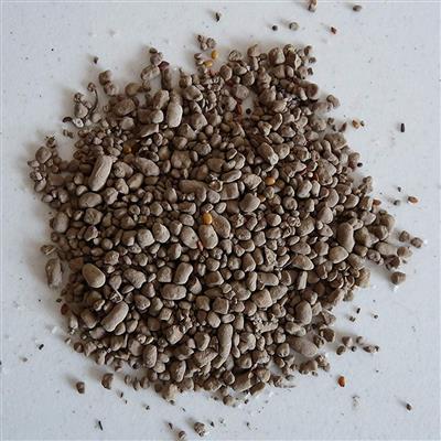 Earth Science Wildflower Pollinator Seed - Image 3